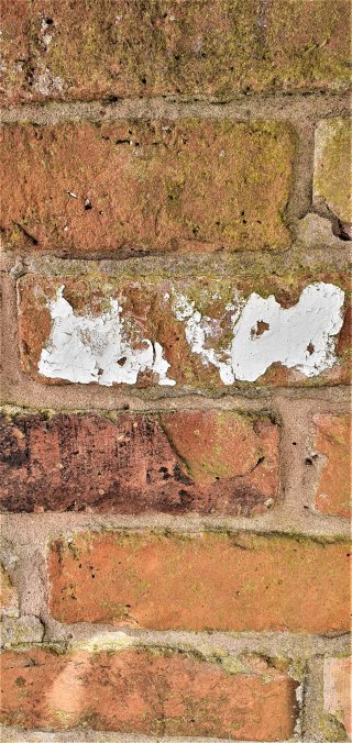 Common_brick_wall_may_2020