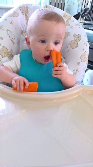 Ethan_2_carrots_mouth_open_august_2016