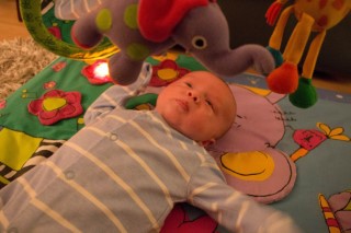 Boxing_day_2015_ethan