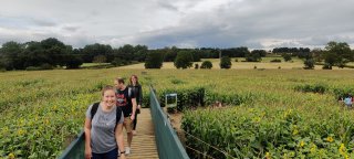 Bridge_view_wistow_maze_august_2021