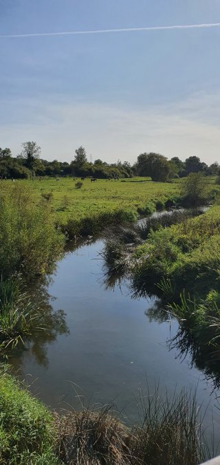 Canal_everards_meadows_walk_sept_2020