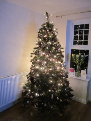 Christmas Tree 2012