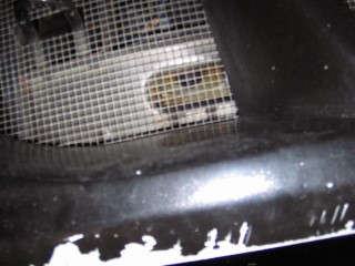 Damaged_car_(1)