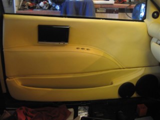 Door_panel_in