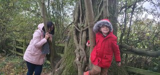 Ethan_and_joy_tree_pumpkin_drop_burbage_woods_nov_2021