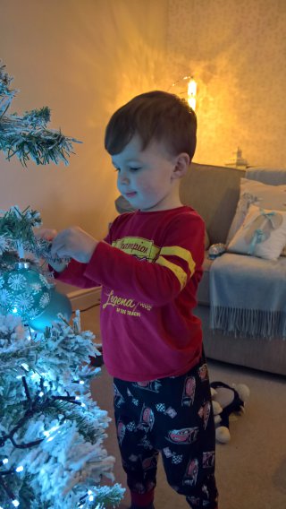Ethan_front_putting_up_the_christmas_tree_dec_2018