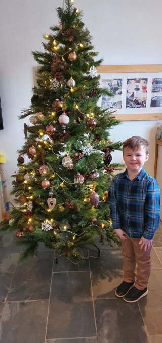 Ethan Garage Christmas Tree Dec 2020