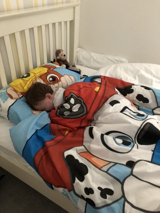Ethan_paw_patrol_bed_ethans_sleep_over_at_nanas_april_2019