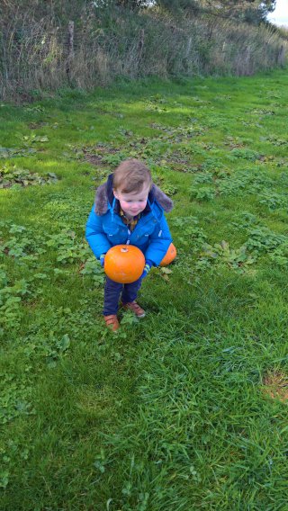 Ethan_pumpkin_picking_and_cake_decorating_oct_2018
