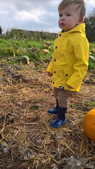 Ethan_pumpkin_picking_october_2017