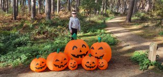 Ethan_pumpkins_monday_center_parcs_oct_2022