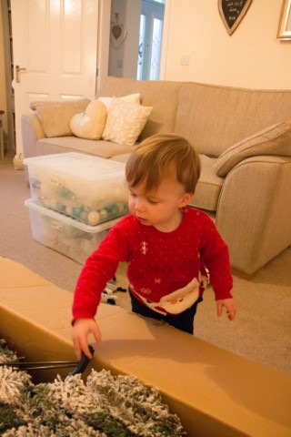 Ethan_putting_the_christmas_tree_up_december_2017
