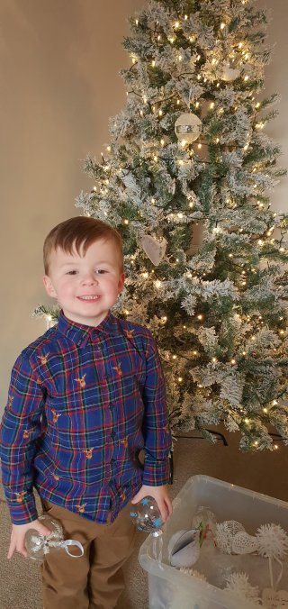 Ethan Putting The Christmas Tree Up Nov 2019