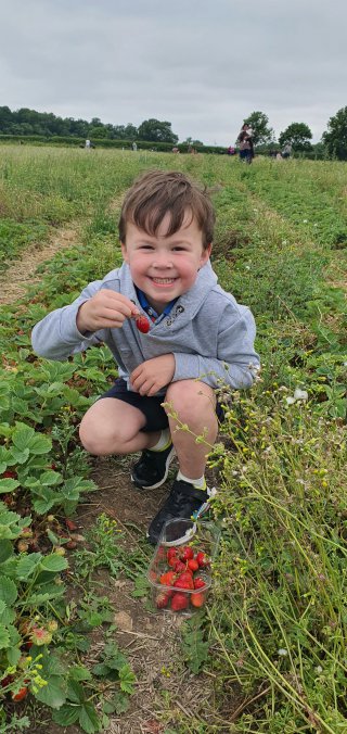 Ethan_single_strawberry_picking_whetstone_pastures_farm_june_2021