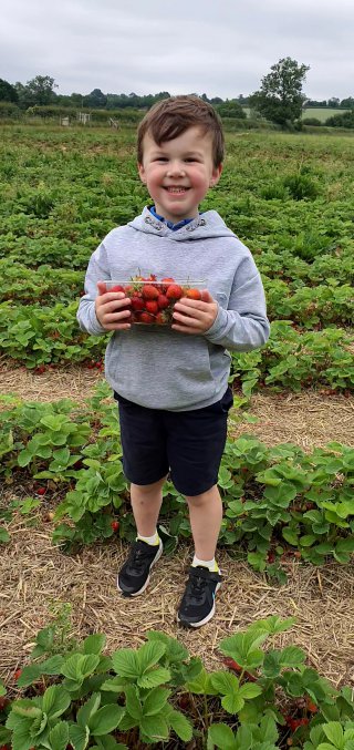 Ethan_strawberry_picking_whetstone_pastures_farm_june_2021