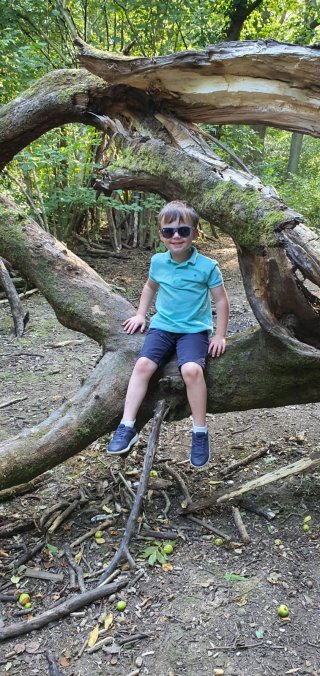 Ethan Tree Burbage Common Afternoon Walk Sept 2020