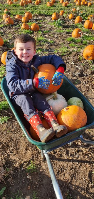 Ethan Wheel Barrow Pumpkin Picking Oct 2021