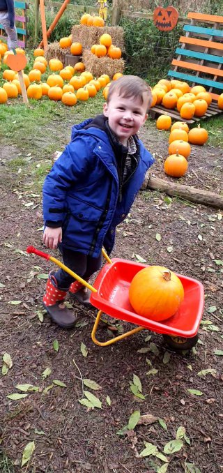 Ethan Wheel Barrow Pumpkin Picking West Lodge Farm Park Oct 2020