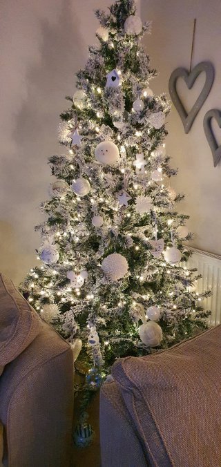 Finished_putting_christmas_tree_up_nov_2020