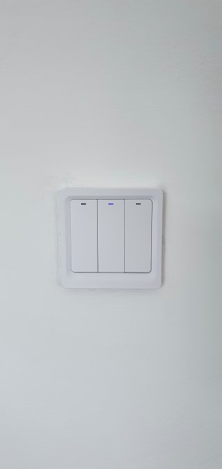 Fitted And Working Moes Wifi Light Switch Aug 2020