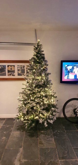 Garage_christmas_tree_dec_2021