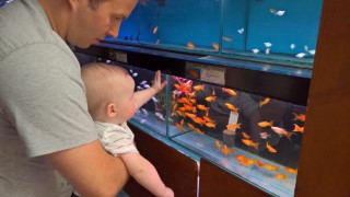 Garden_center_july_2016_ethan_and_i_fishes