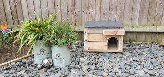 In_place_hedgehog_house_apr_2022