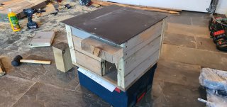 In_progress_hedgehog_house_apr_2022