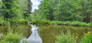 Lake_sunday_center_parcs_may_2022