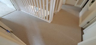 Landing_new_carpets_aug_2023