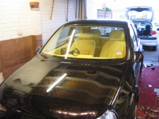 Lemon_seats_in_car