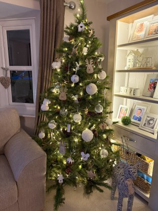 Lounge_christmas_trees_and_lights_dec_2024