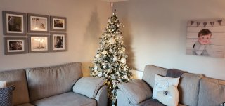 Lounge Putting The Christmas Tree Up Nov 2019