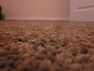Lounge_townhouse_carpets_fitted