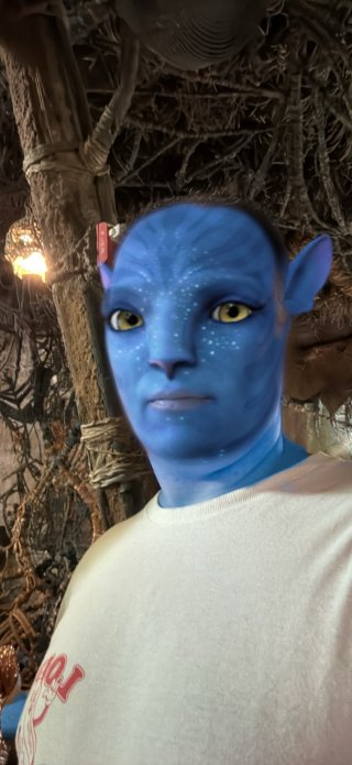 Me_avatar_day_6_disney_world_july_2025