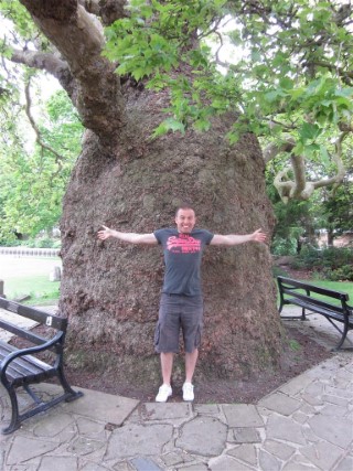 Me_huge_tree_canterbury_june_2013