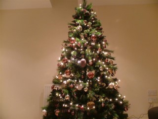 My_1st_christmas_tree