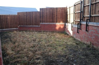 My_new_garden