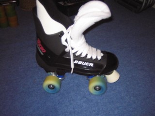 New_skates_with_sims