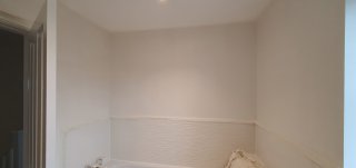 Painted Bathroom Wall Day Off Diy Dec 2020