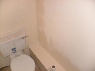 Painted_toilet