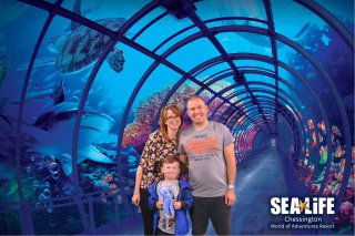 Sea_life_centre_chessington_world_of_adventures_thur_august_2021