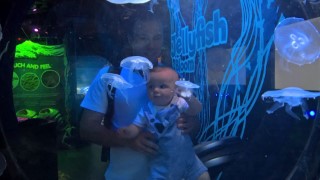 Seas Life Center July 2016 Ethan And I Jelly Fish