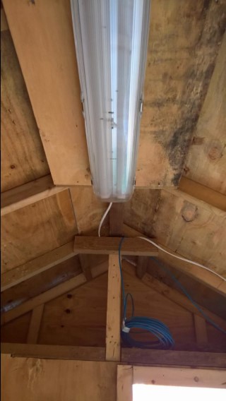 Shed_progress_december_2016_light_and_network_cable