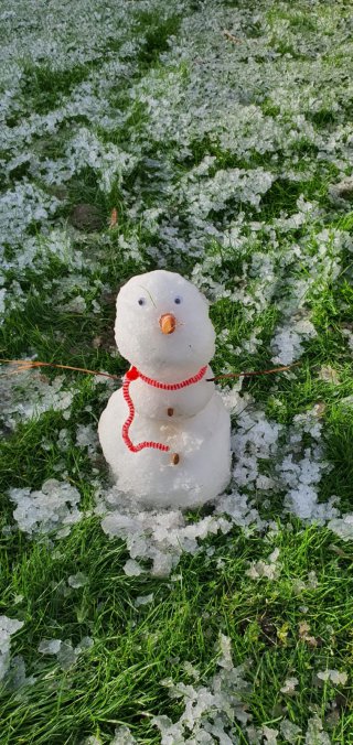 Snowman Mini Show Day Jan 2021
