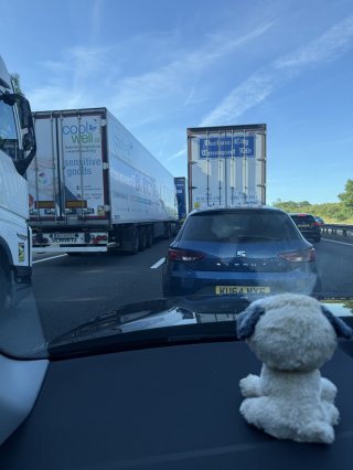 Stuck_in_traffic_travel_disney_world_july_2025