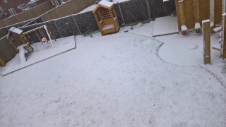 The Back Garden Snow Day December 2017