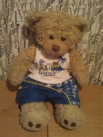 100 Million Reunion Mini Me Beach Outfit