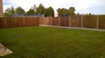 Back Garden Progress Willington August 2015
