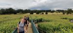 Bridge View Wistow Maze August 2021